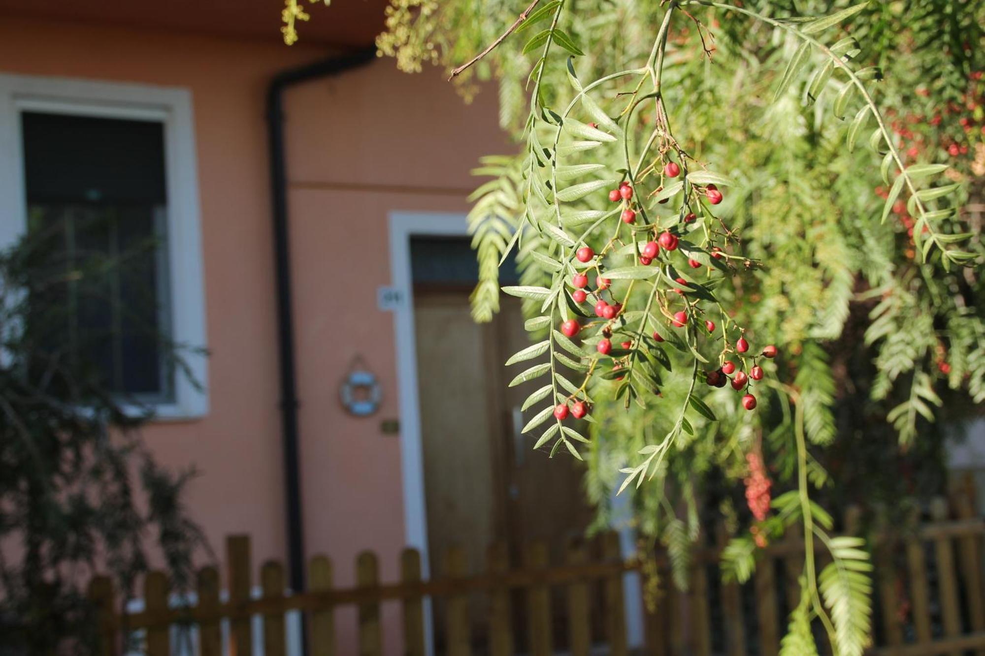Bed and Breakfast Pepe Rosa Termoli Exteriér fotografie