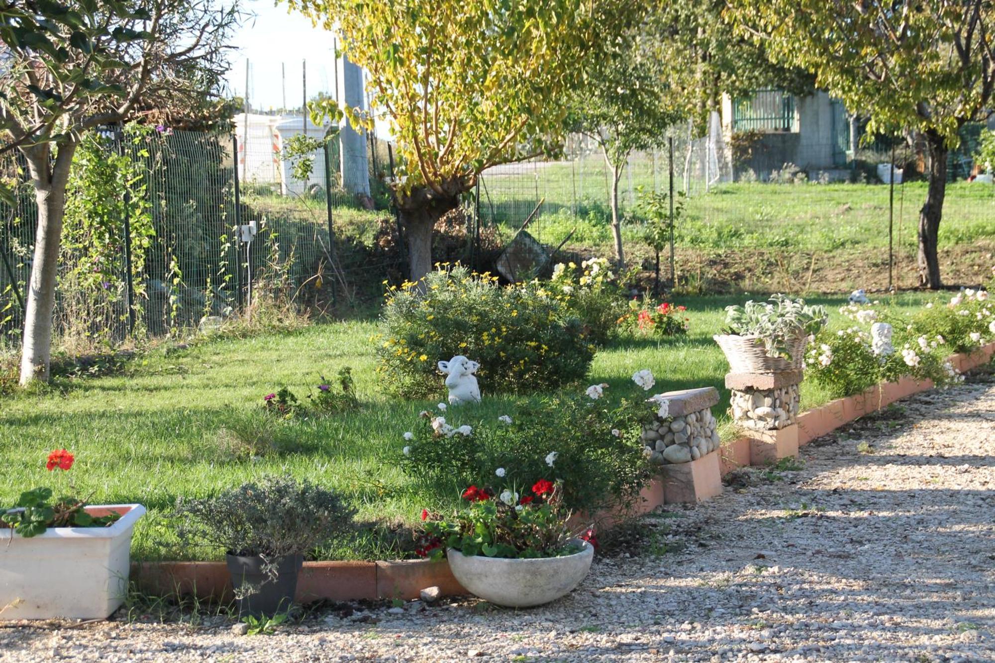 Bed and Breakfast Pepe Rosa Termoli Exteriér fotografie